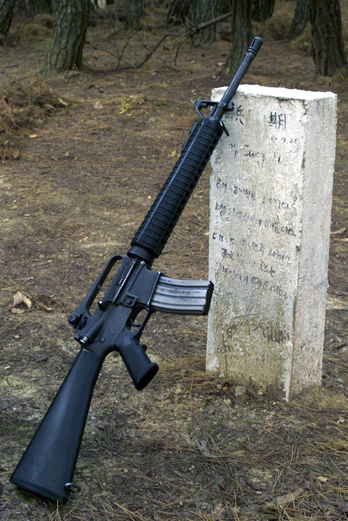 Can South Korean citizens own guns?